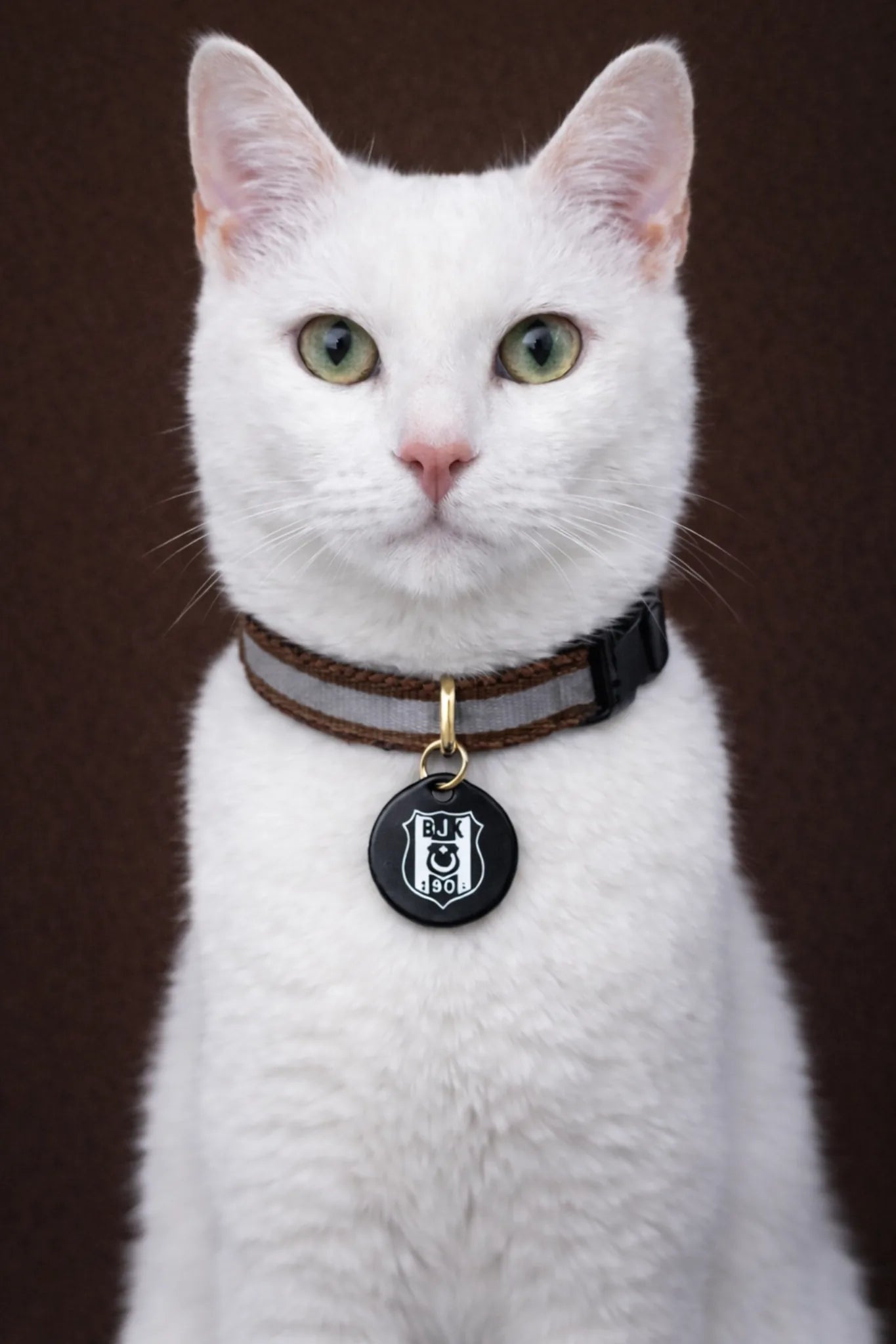 Beşiktaş Katzenhalsband