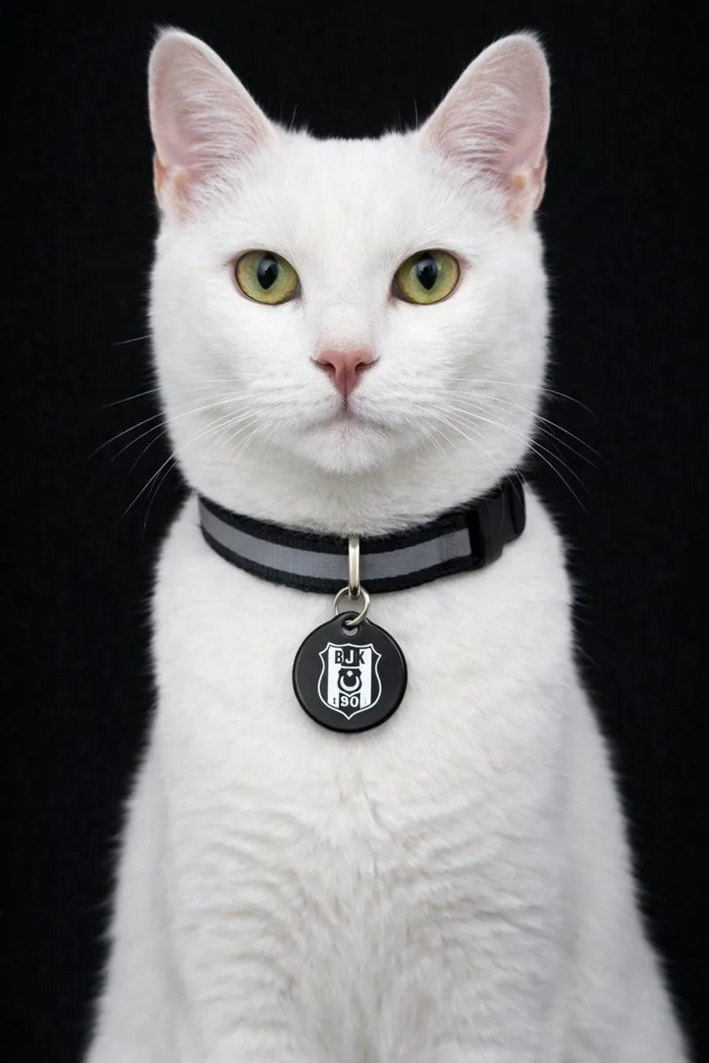Beşiktaş Katzenhalsband