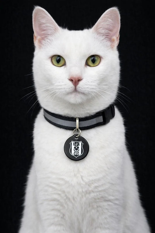 Beşiktaş cat collar