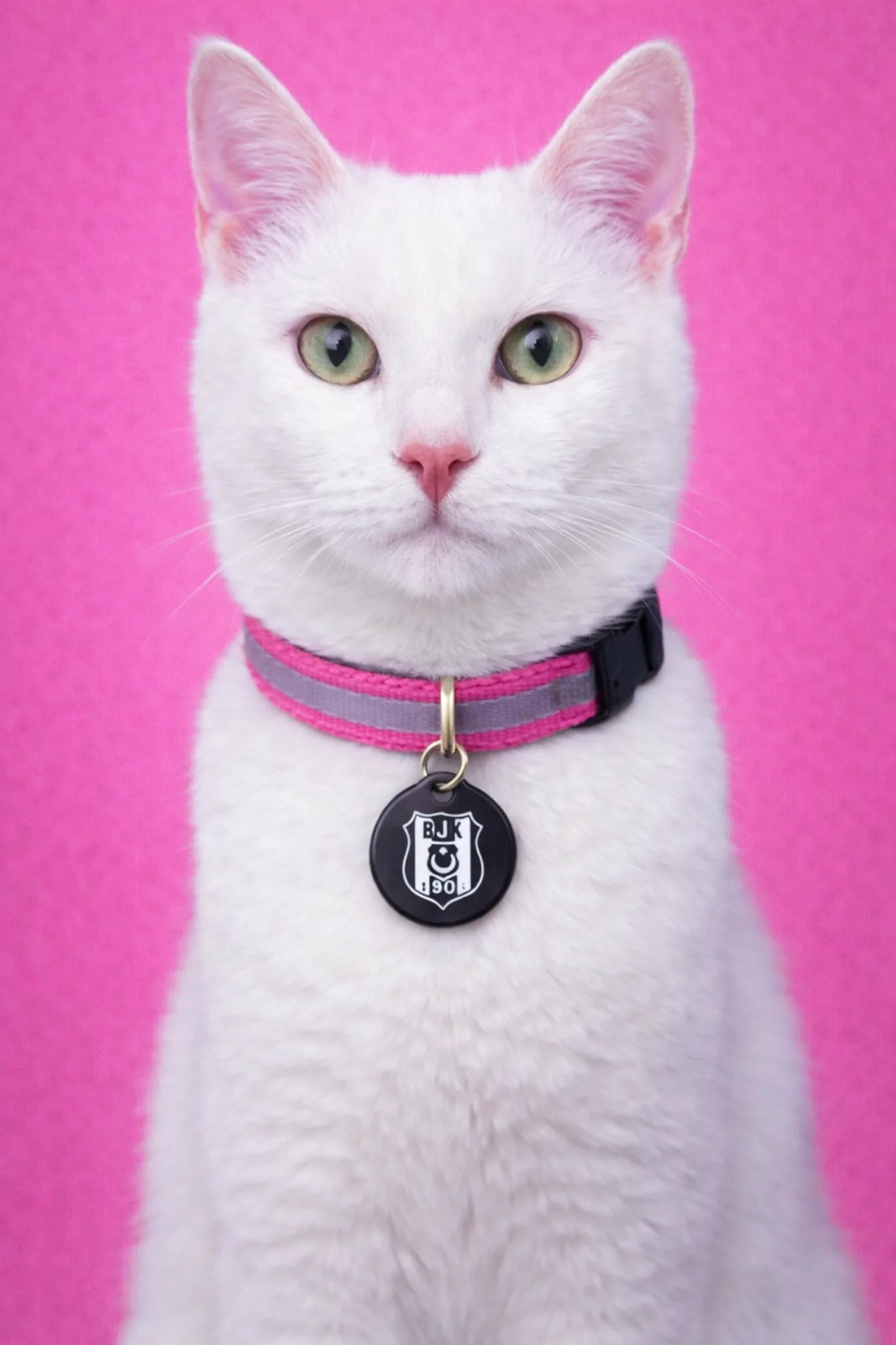 Beşiktaş Katzenhalsband