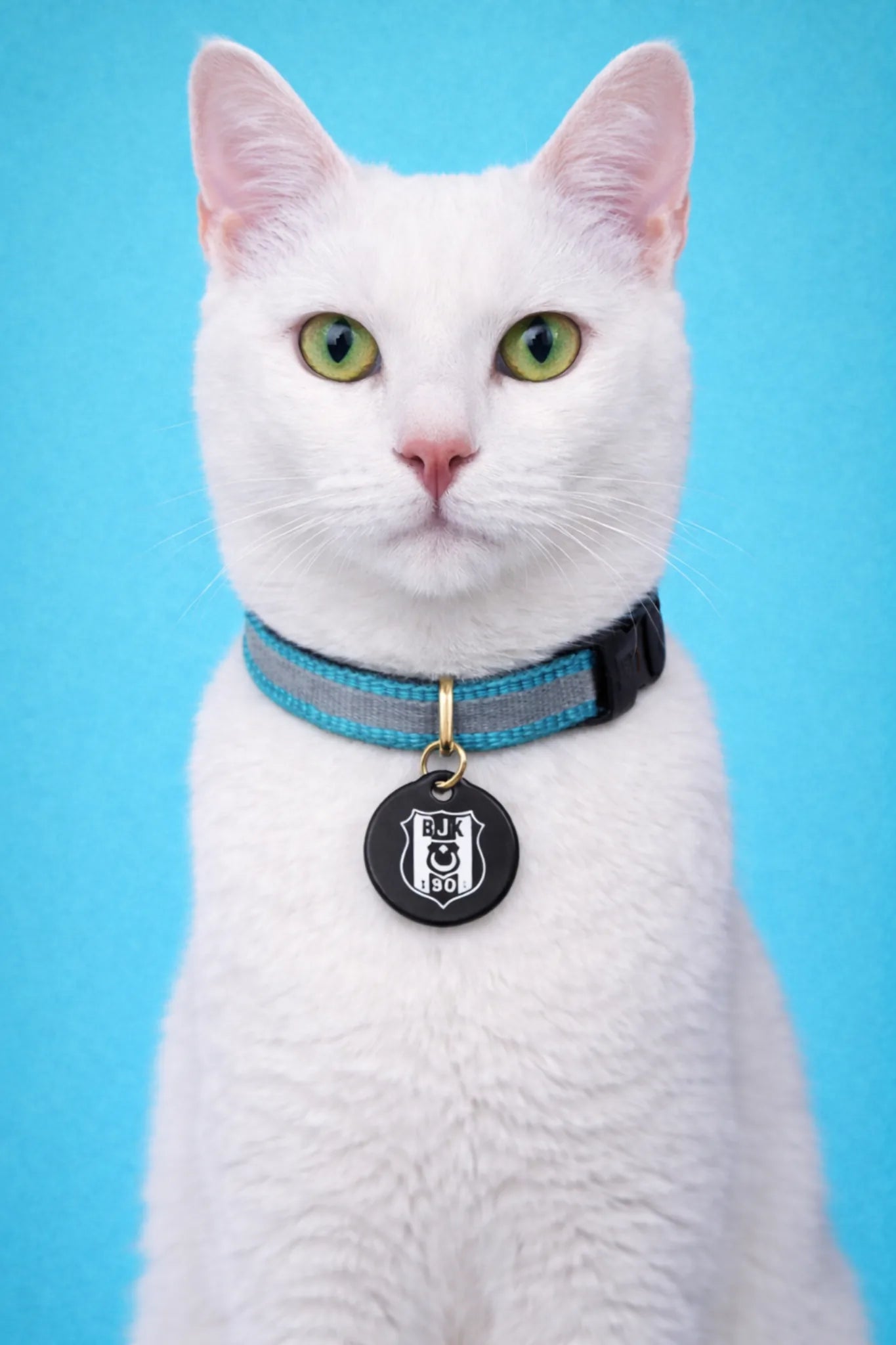 Beşiktaş Katzenhalsband