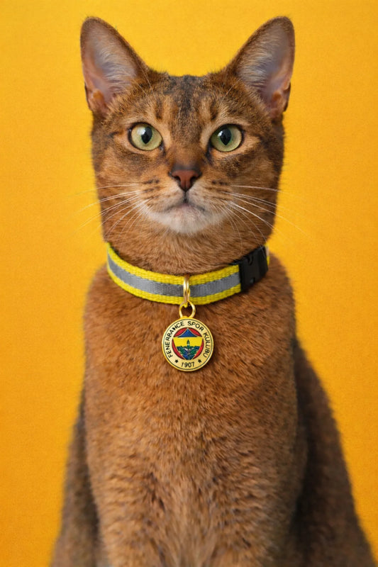 Fenerbahçe cat collar
