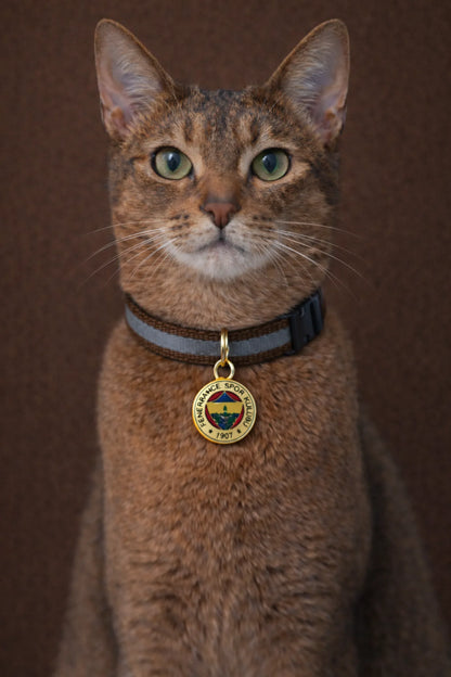 Fenerbahçe Katzenhalsband
