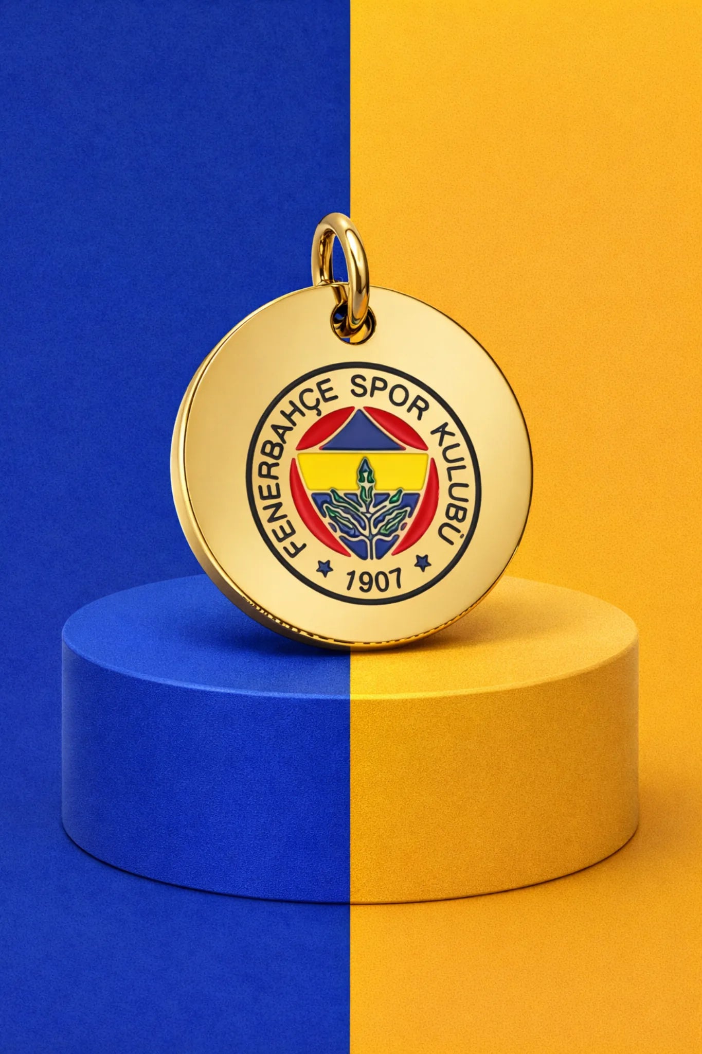Fenerbahçe Katzenhalsband