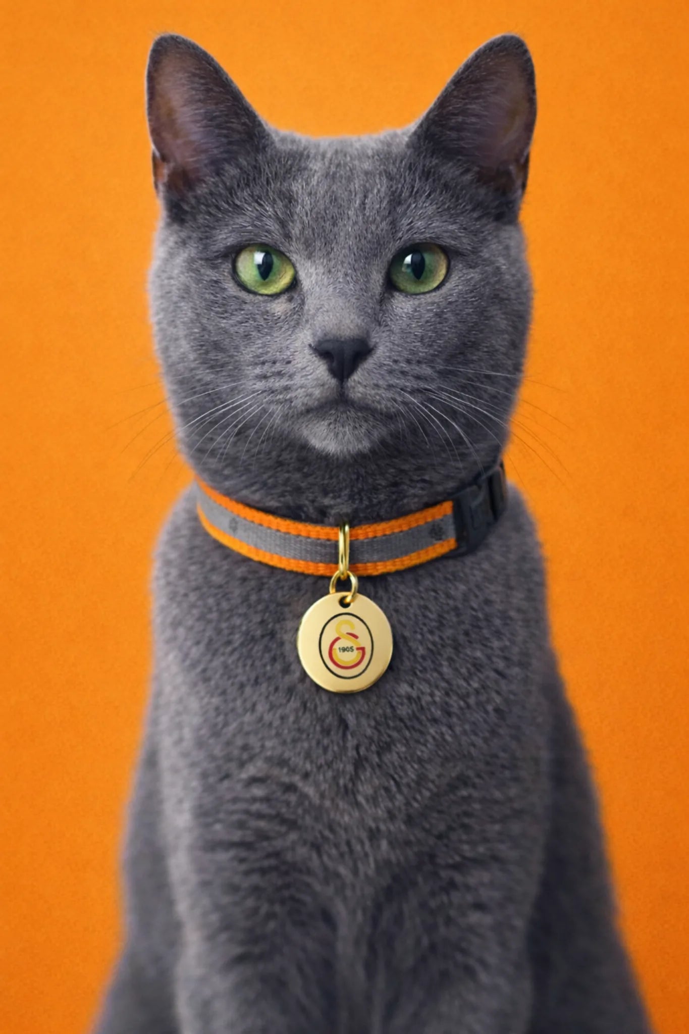 Galatasaray cat collar