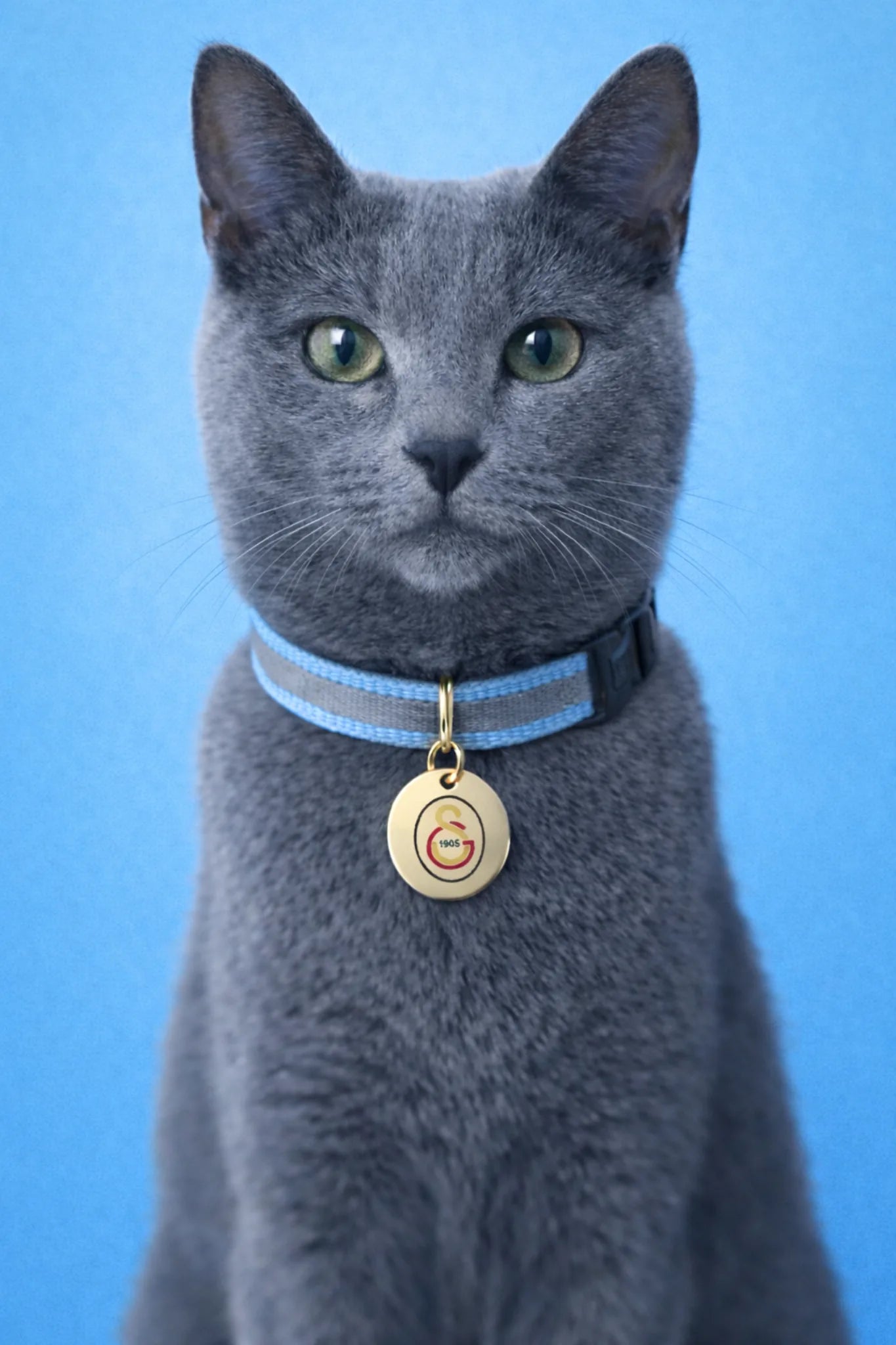 Galatasaray cat collar