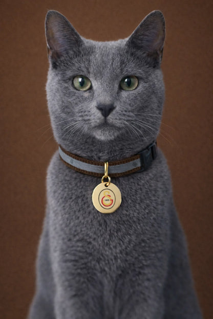 Galatasaray cat collar