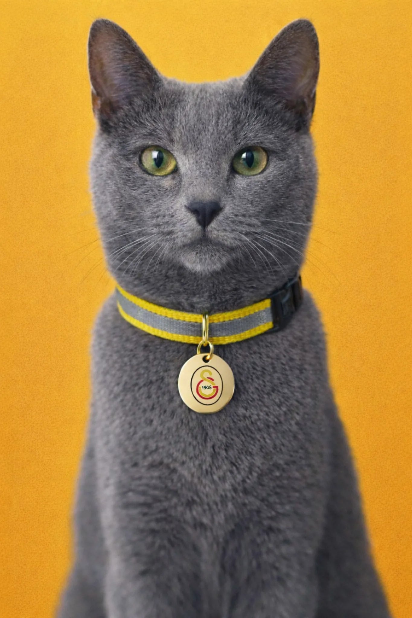 Galatasaray cat collar