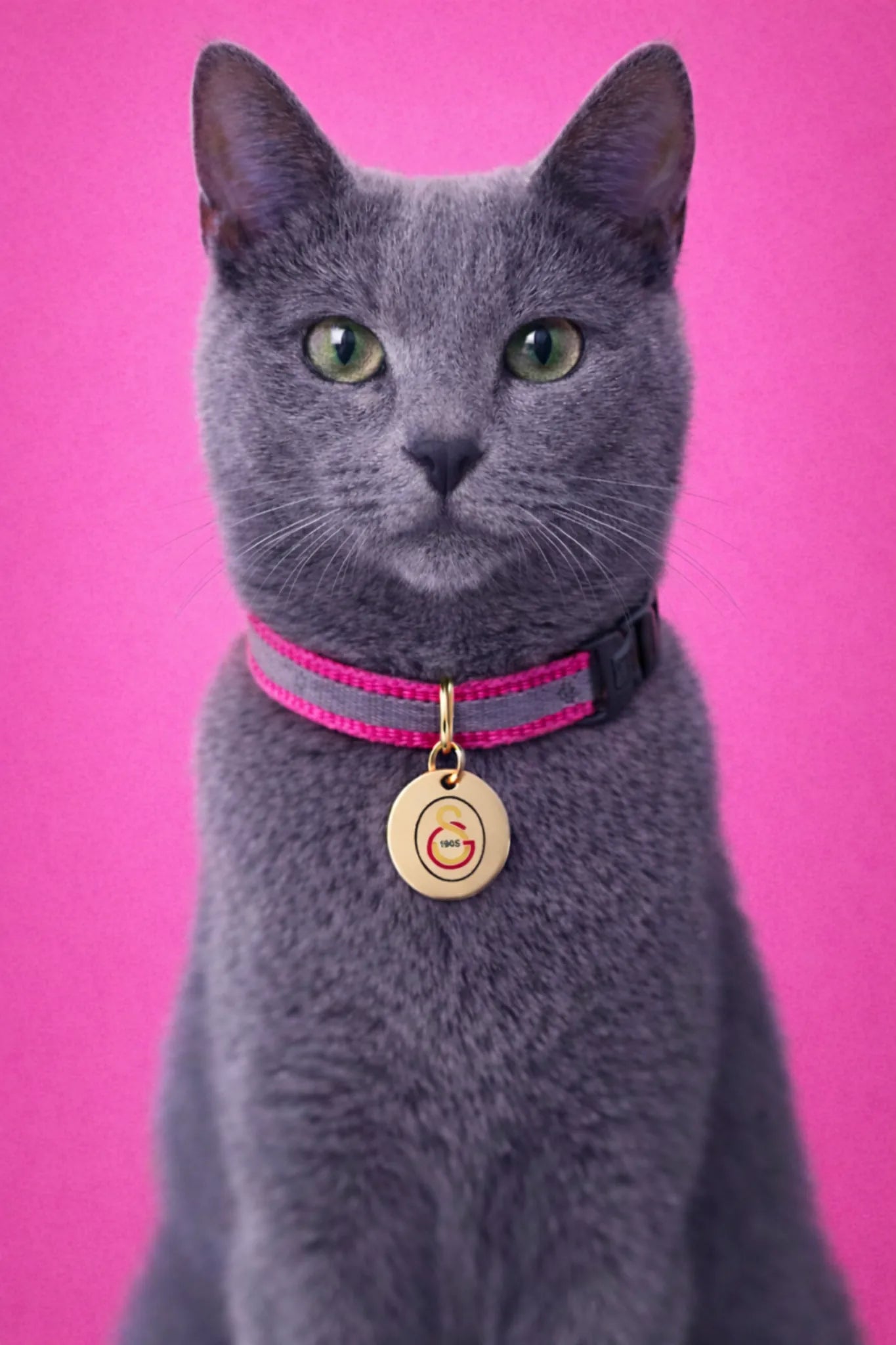 Galatasaray cat collar