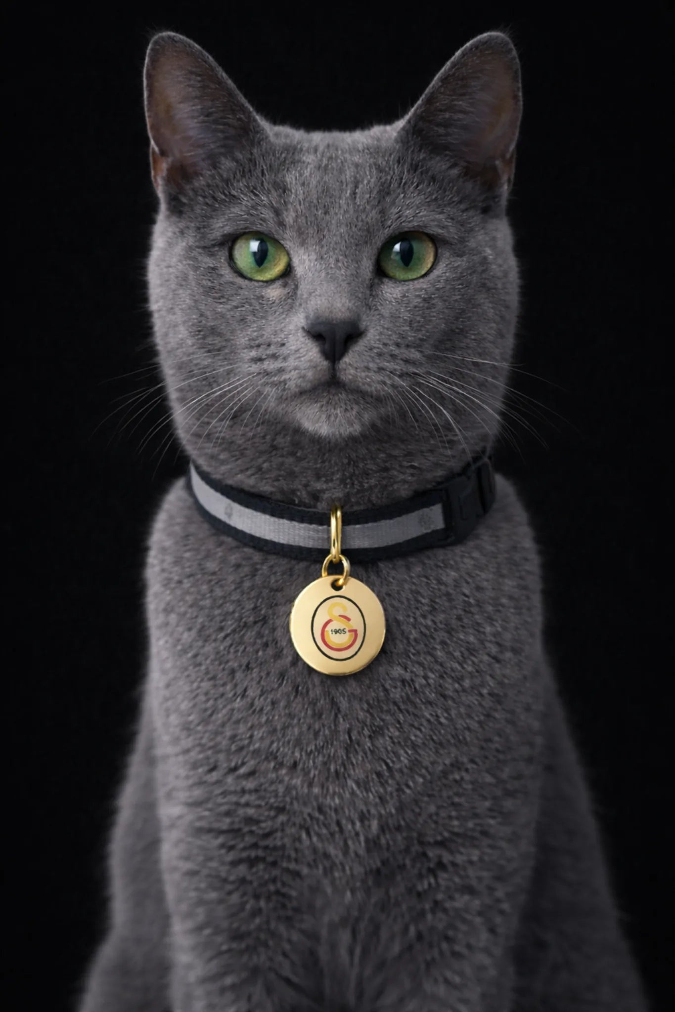 Galatasaray cat collar