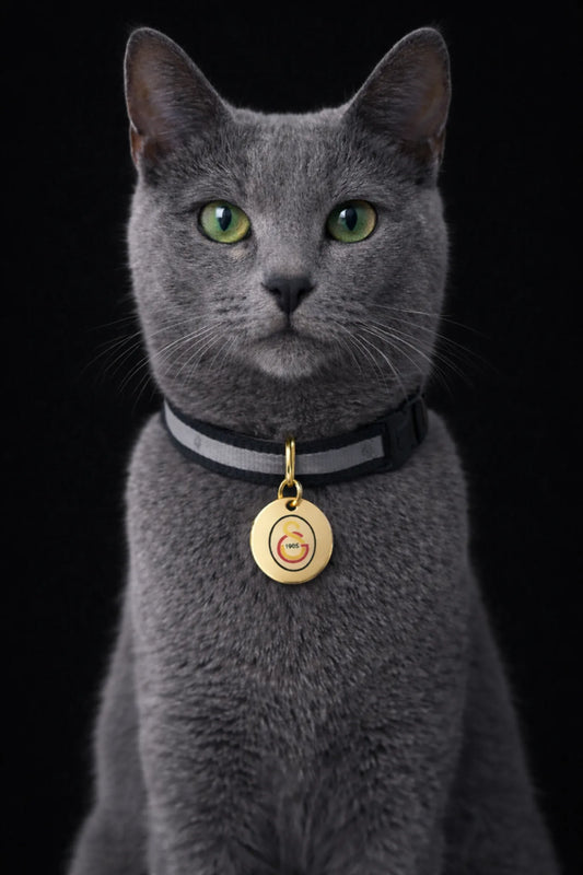 Galatasaray cat collar