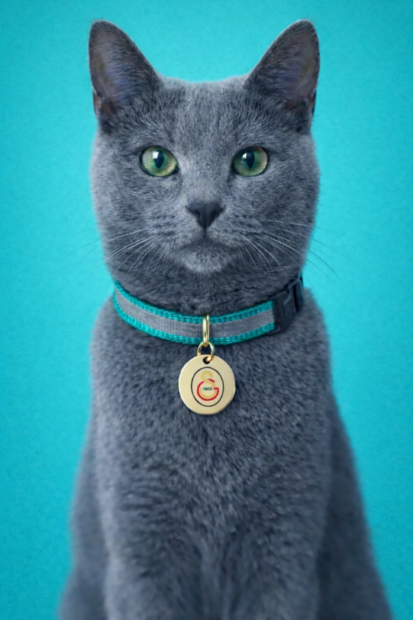 Galatasaray cat collar