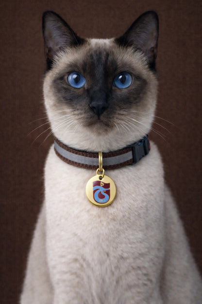 Trabzonspor cat collar
