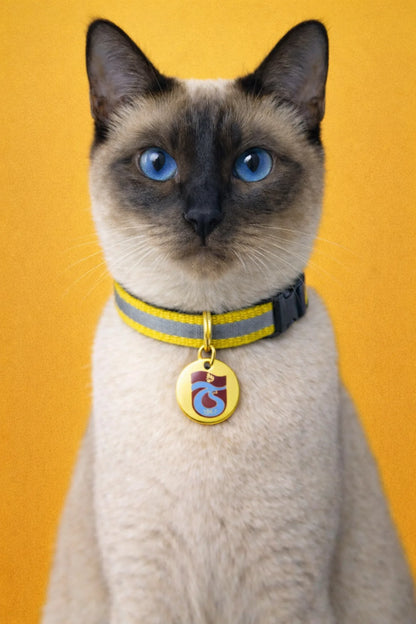 Trabzonspor cat collar
