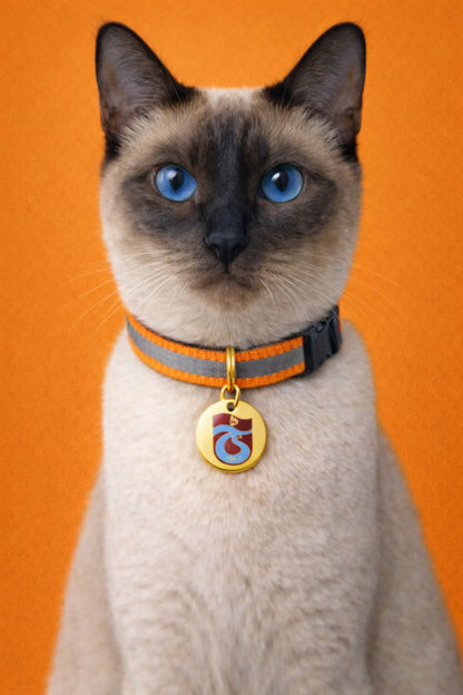 Trabzonspor cat collar