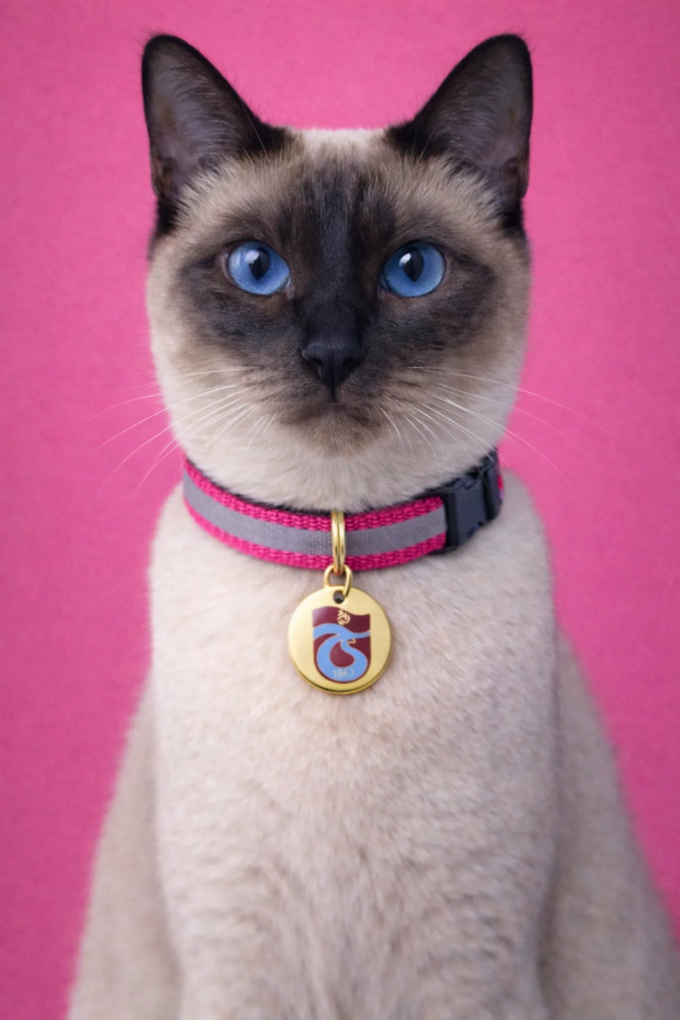 Trabzonspor cat collar