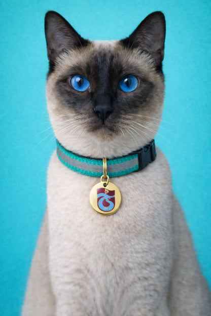 Trabzonspor cat collar